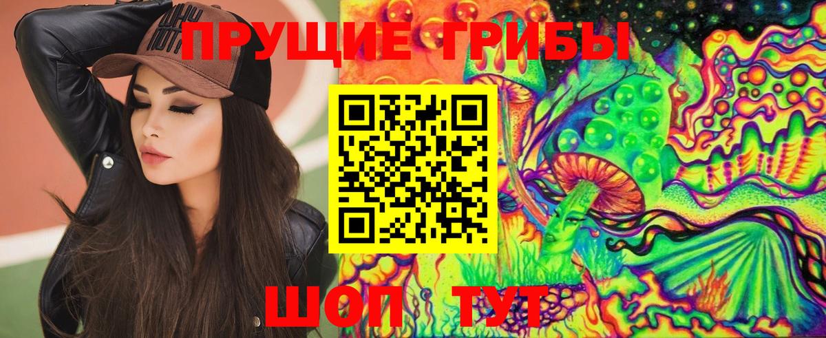 Галлюциногенные грибы Magic Shrooms  Псилоцибиновые грибы Magic Shrooms  Вход с VPN  Зима 